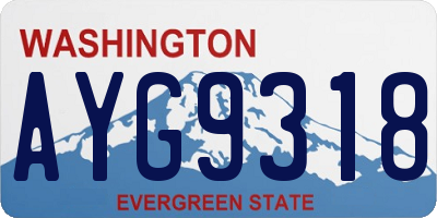 WA license plate AYG9318
