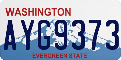 WA license plate AYG9373