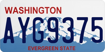 WA license plate AYG9375