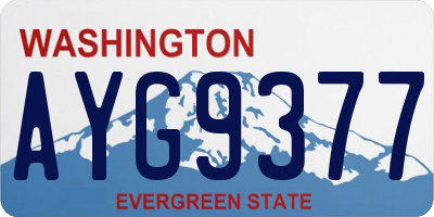 WA license plate AYG9377