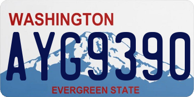 WA license plate AYG9390