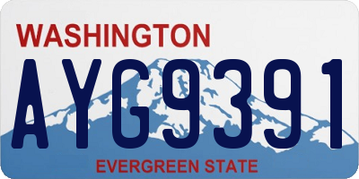 WA license plate AYG9391