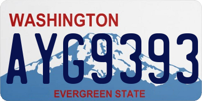 WA license plate AYG9393