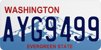 WA license plate AYG9499