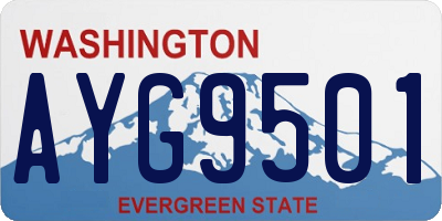 WA license plate AYG9501