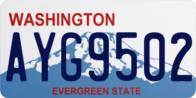 WA license plate AYG9502