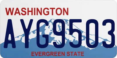 WA license plate AYG9503