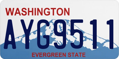 WA license plate AYG9511