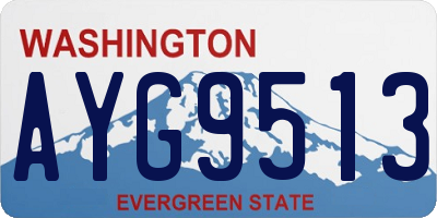 WA license plate AYG9513