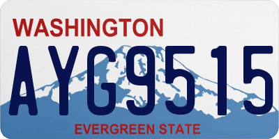 WA license plate AYG9515