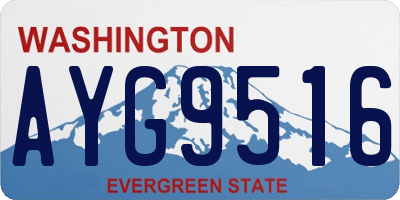 WA license plate AYG9516