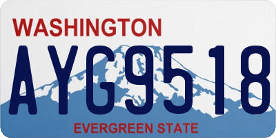 WA license plate AYG9518