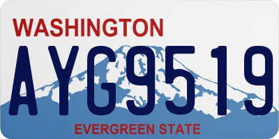 WA license plate AYG9519