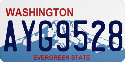 WA license plate AYG9528