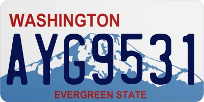 WA license plate AYG9531