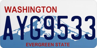 WA license plate AYG9533