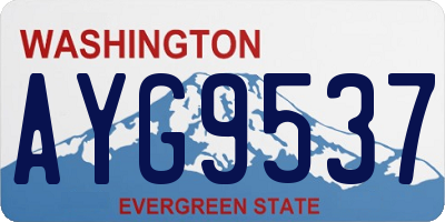 WA license plate AYG9537