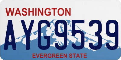 WA license plate AYG9539