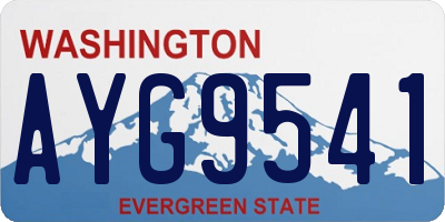 WA license plate AYG9541