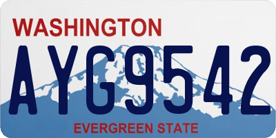 WA license plate AYG9542