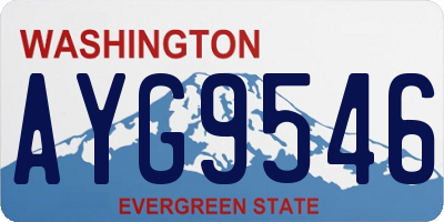 WA license plate AYG9546