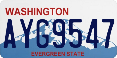 WA license plate AYG9547