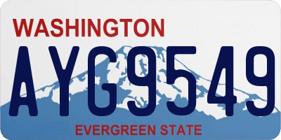 WA license plate AYG9549
