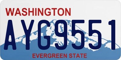 WA license plate AYG9551