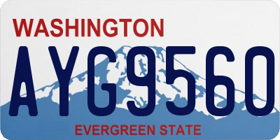 WA license plate AYG9560