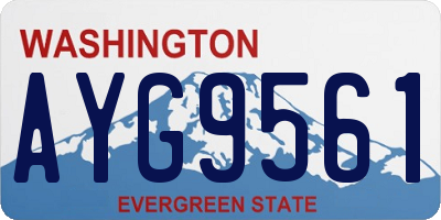 WA license plate AYG9561