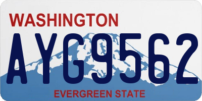 WA license plate AYG9562