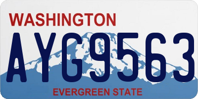 WA license plate AYG9563