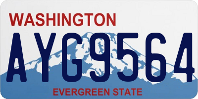 WA license plate AYG9564