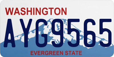 WA license plate AYG9565