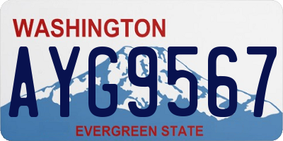 WA license plate AYG9567