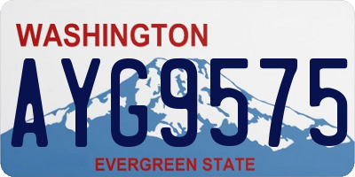 WA license plate AYG9575