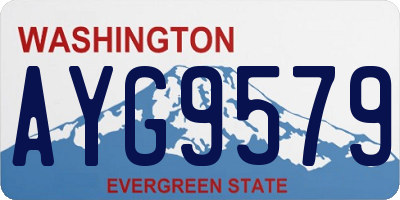 WA license plate AYG9579