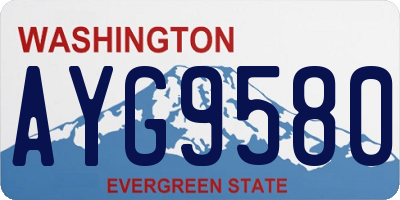 WA license plate AYG9580