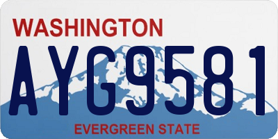 WA license plate AYG9581