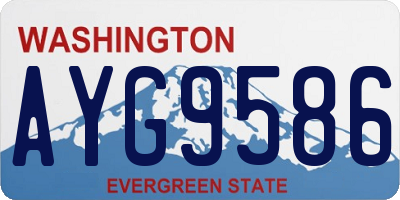 WA license plate AYG9586