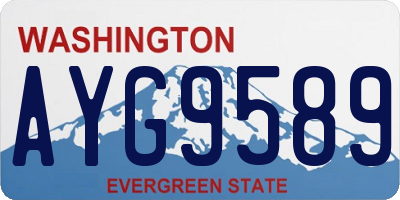 WA license plate AYG9589