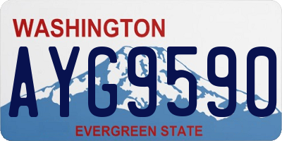 WA license plate AYG9590