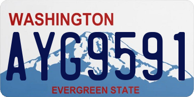WA license plate AYG9591