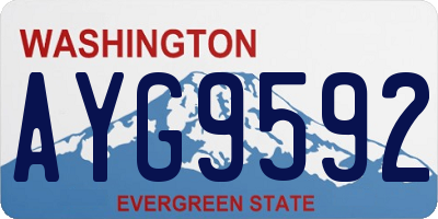 WA license plate AYG9592