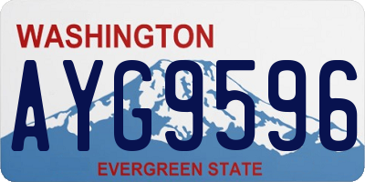 WA license plate AYG9596