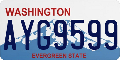 WA license plate AYG9599