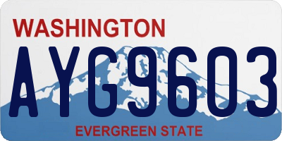 WA license plate AYG9603