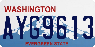 WA license plate AYG9613