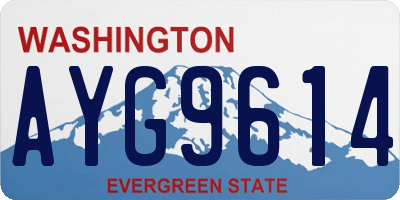 WA license plate AYG9614