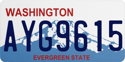 WA license plate AYG9615